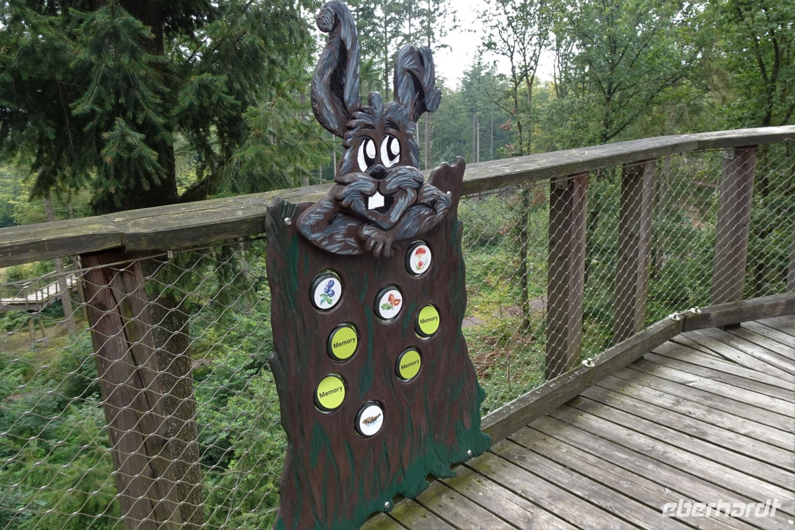 Tag 2 16.09.2024  Baumwipfelpfad Saarschleife 