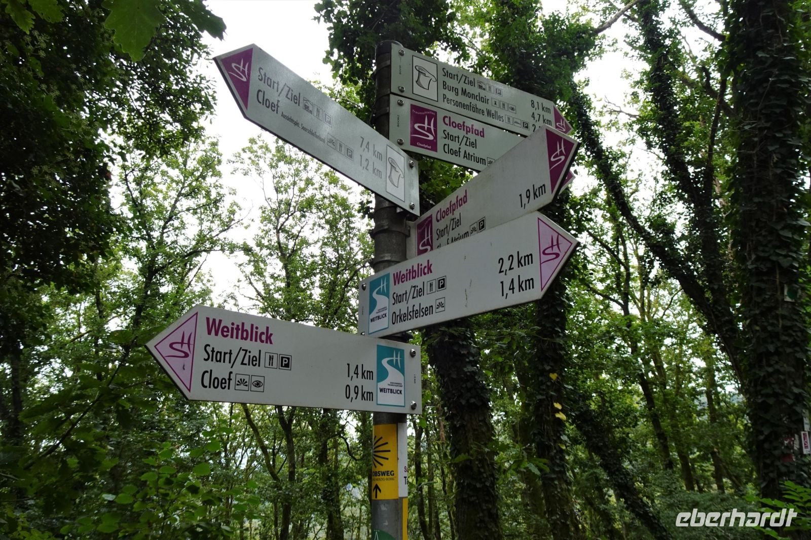 Tag 2 16.09.2024 Wanderung rund um die Saarschleife 