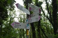 Tag 2 16.09.2024 Wanderung rund um die Saarschleife 