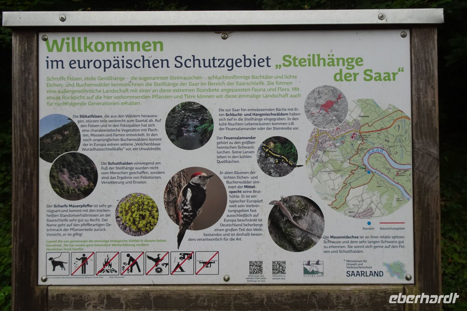 Tag 2 16.09.2024 Wanderung rund um die Saarschleife 
