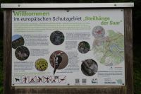 Tag 2 16.09.2024 Wanderung rund um die Saarschleife 