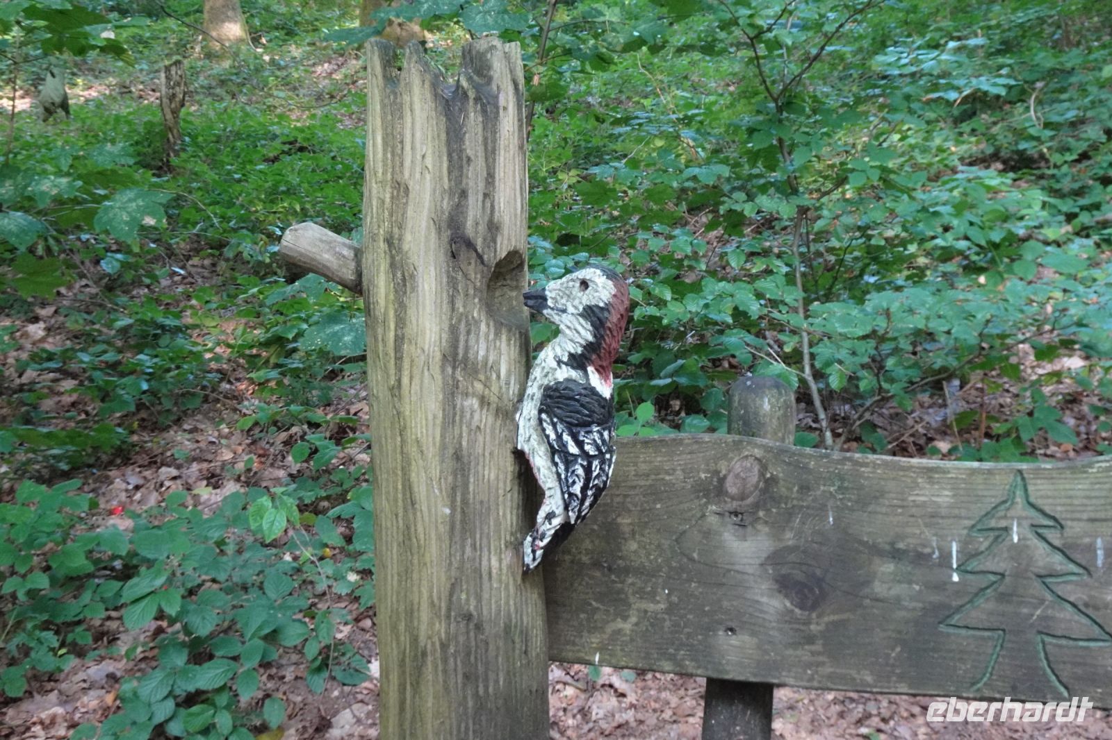 Tag 3 17.09.2024 Litermont Tour  