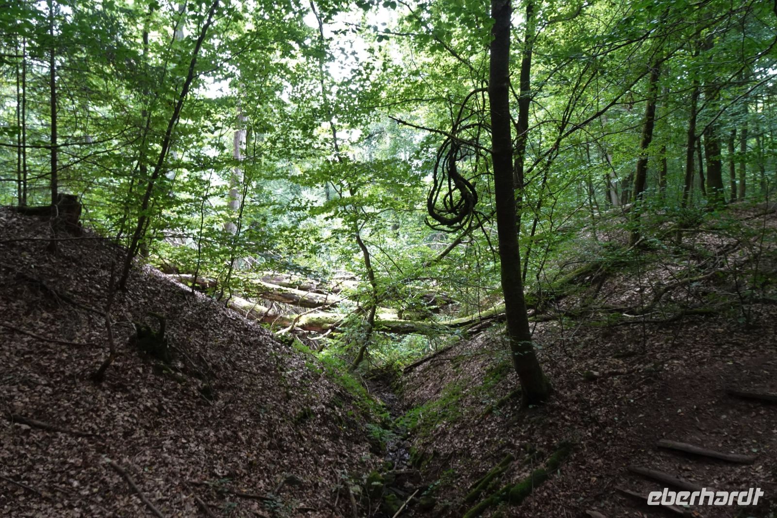 Tag 3 17.09.2024 Litermont Tour  