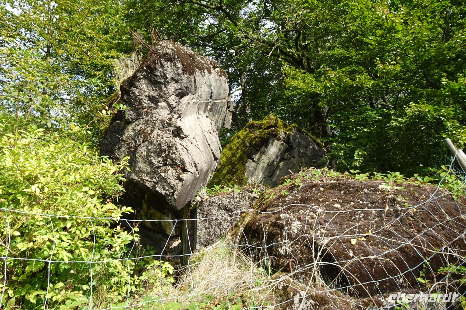 Tag 3 17.09.2024 Litermont Tour, Westwall Bunker