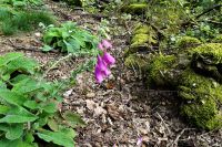 Tag 3 17.09.2024 Litermont Tour  