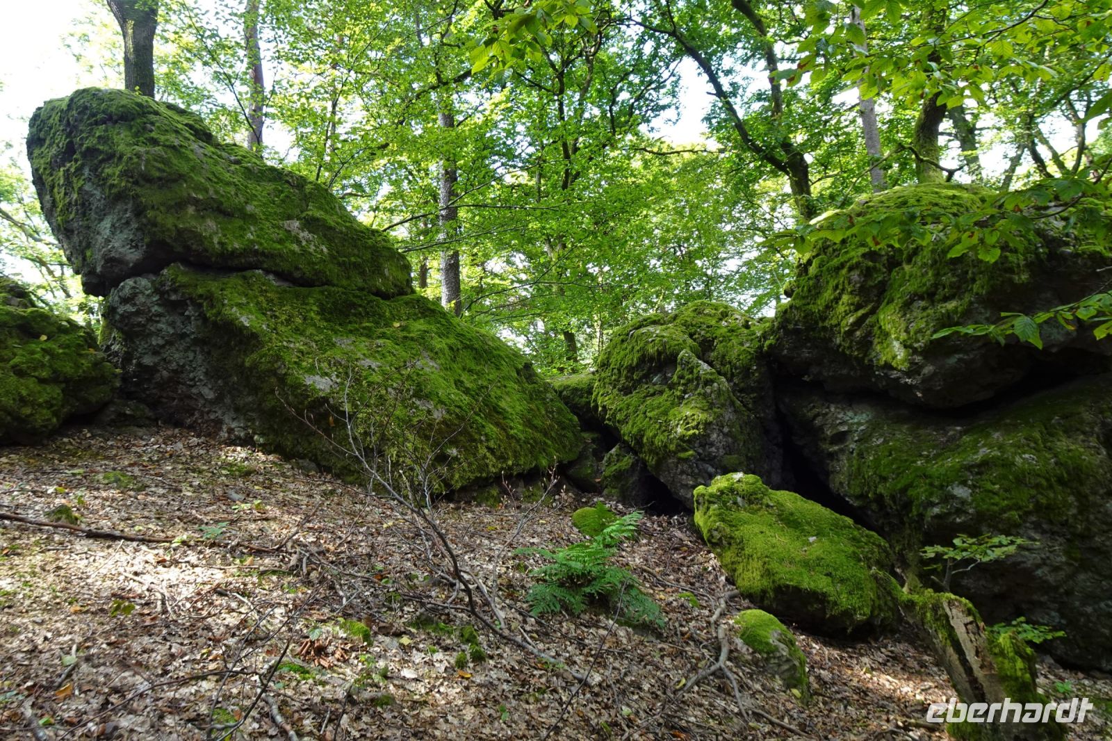 Tag 3 17.09.2024 Litermont Tour  