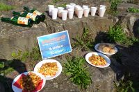 Tag 5 19.09.2024 Trier, Umtrunk auf dem Petrisberg