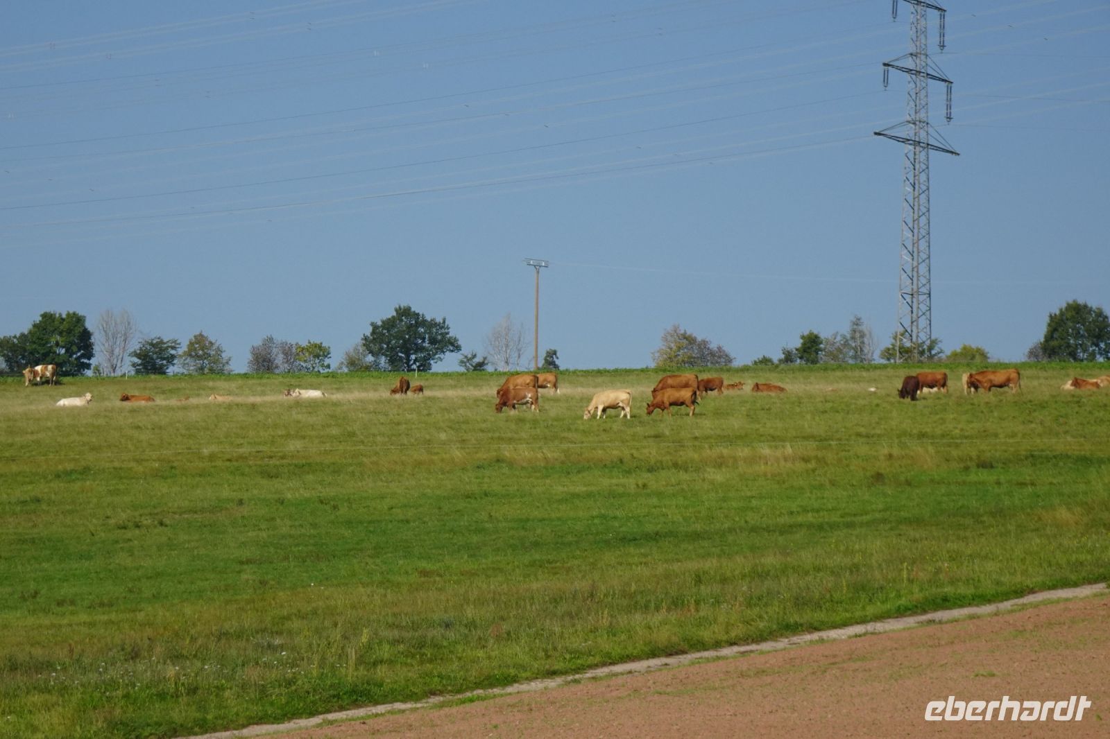 Tag 5 19.09.2024 Wanderung auf dem Römerpfad  