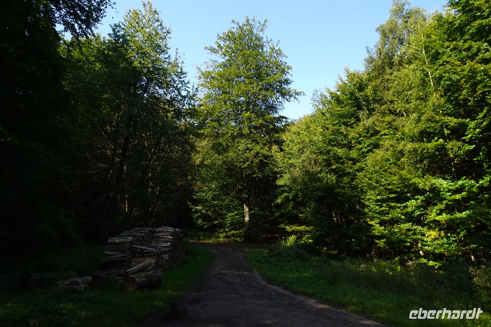 Tag 5 19.09.2024 Wanderung auf dem Römerpfad  