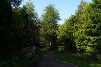 Tag 5 19.09.2024 Wanderung auf dem Römerpfad  