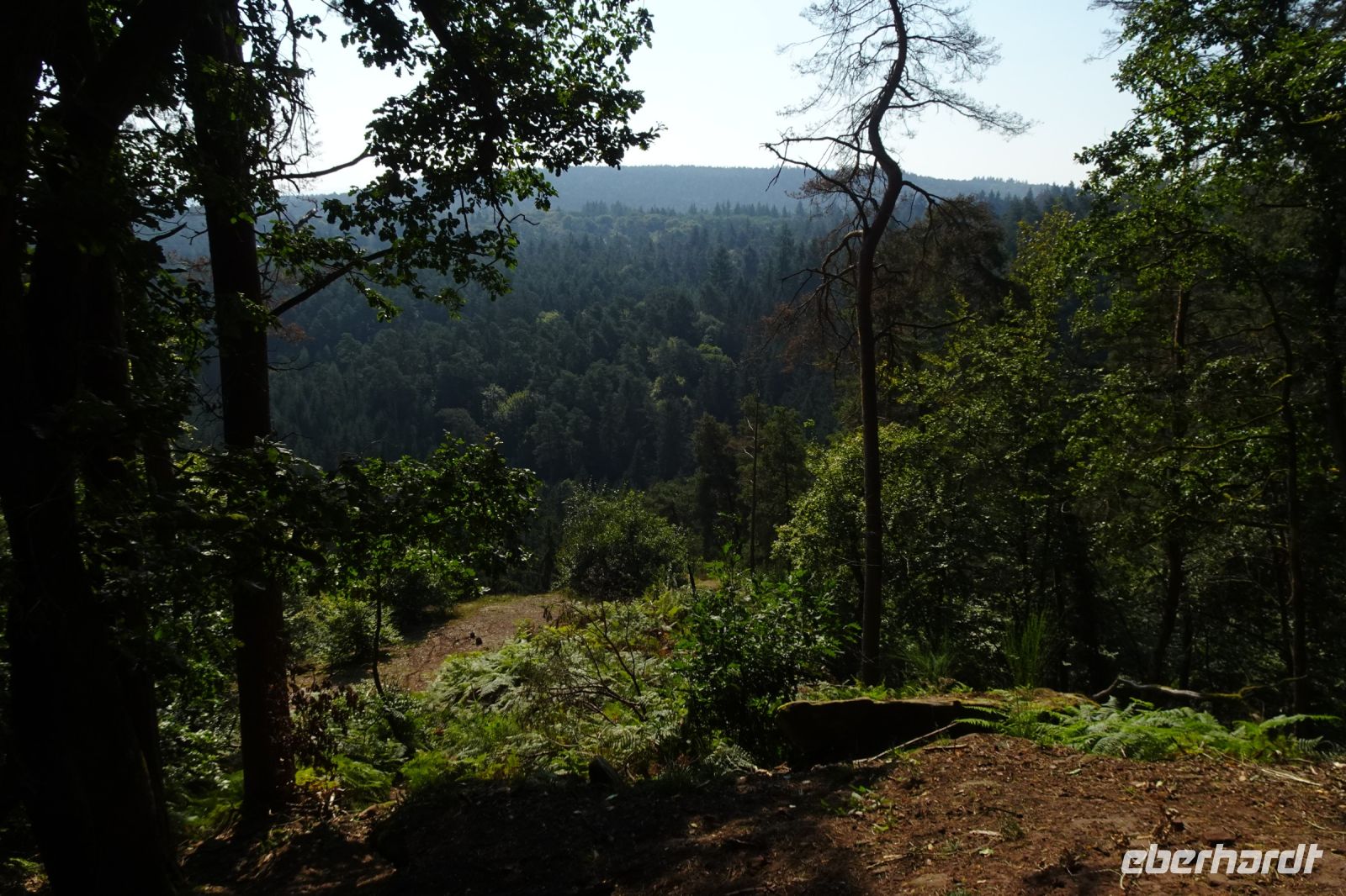Tag 5 19.09.2024 Wanderung auf dem Römerpfad  