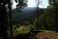 Tag 5 19.09.2024 Wanderung auf dem Römerpfad  