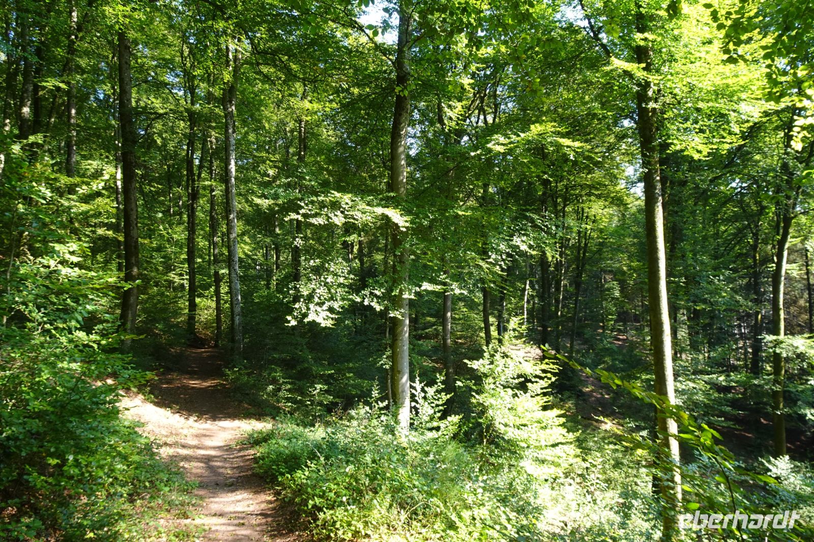 Tag 5 19.09.2024 Wanderung auf dem Römerpfad  