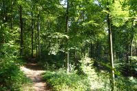 Tag 5 19.09.2024 Wanderung auf dem Römerpfad  