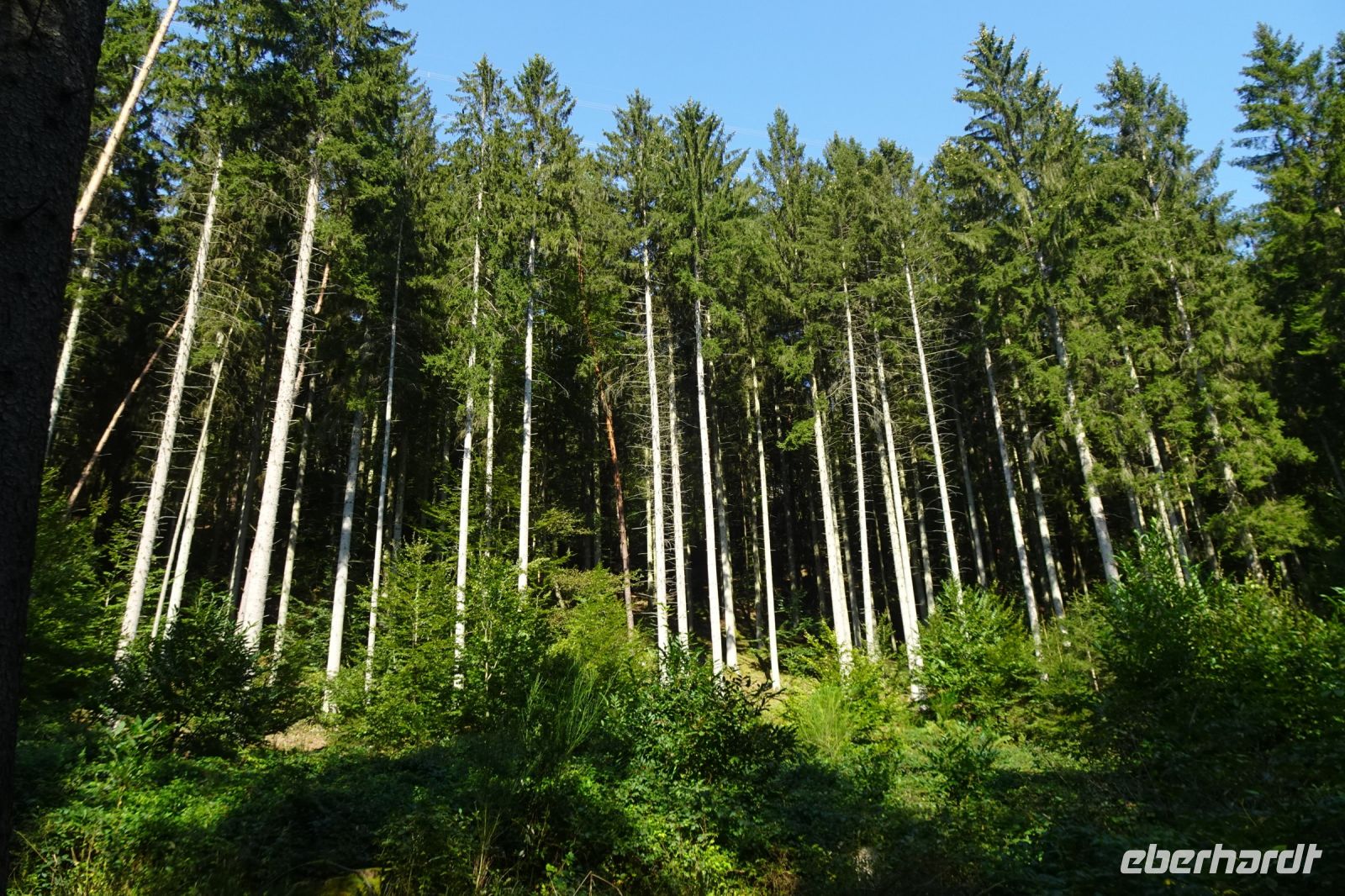 Tag 5 19.09.2024 Wanderung auf dem Römerpfad  