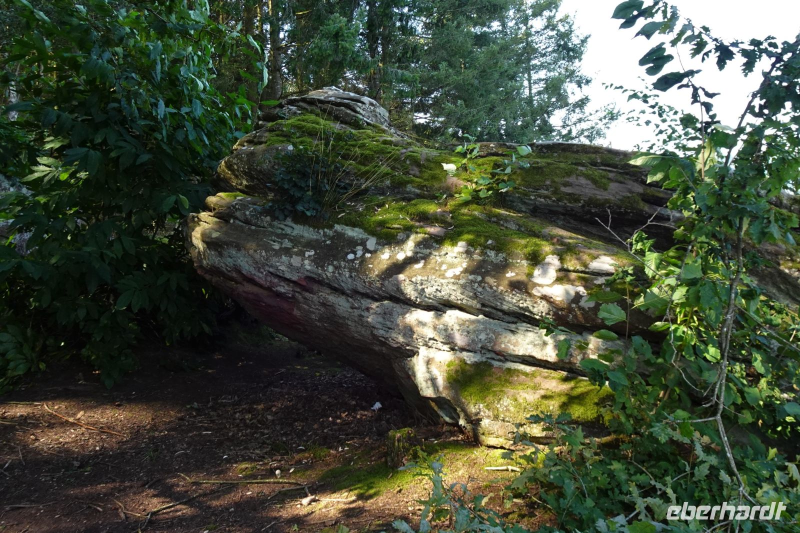 Tag 5 19.09.2024 Wanderung auf dem Römerpfad
