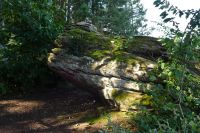 Tag 5 19.09.2024 Wanderung auf dem Römerpfad