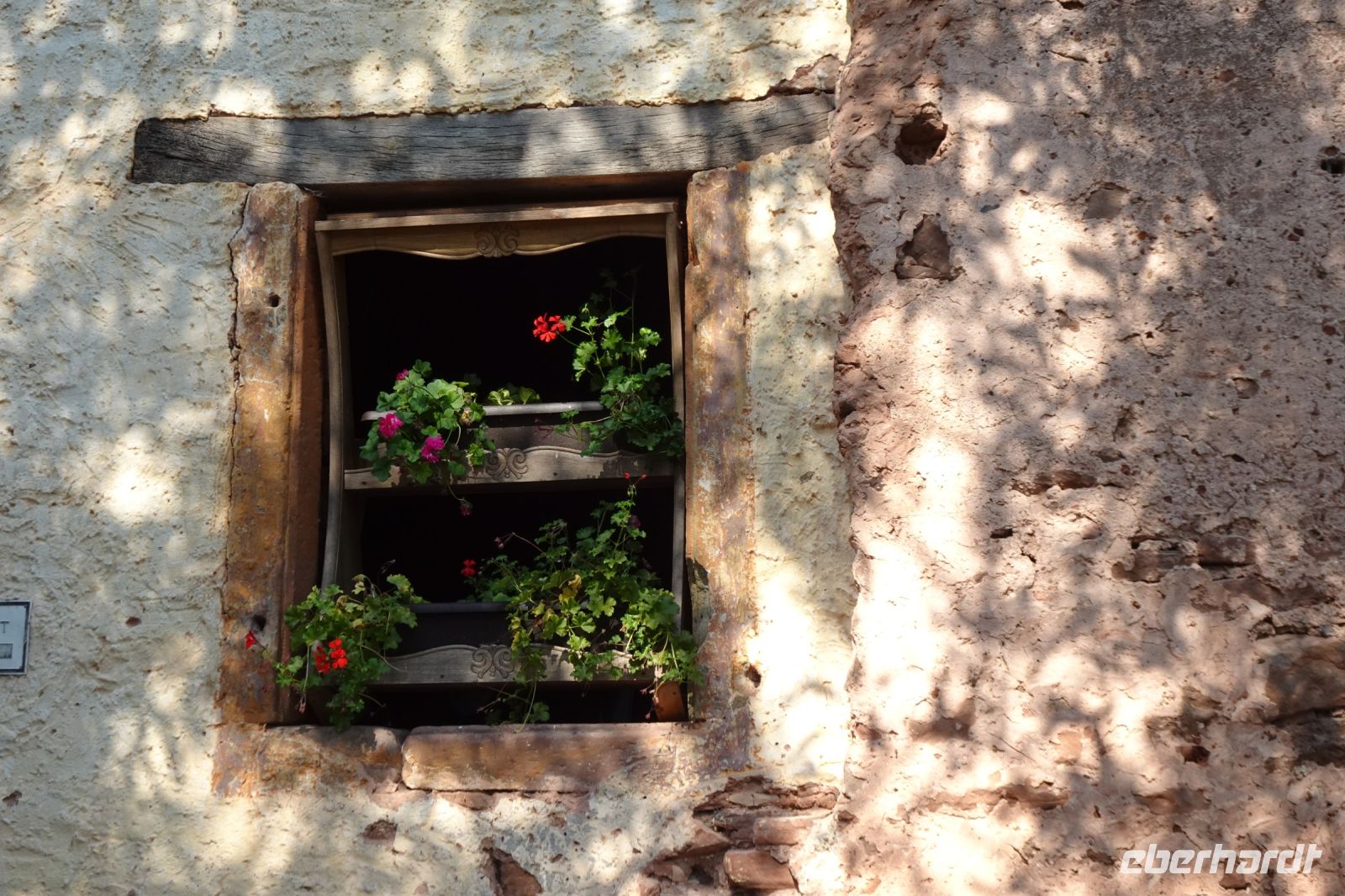 Tag 5 19.09.2024 Wanderung auf dem Römerpfad