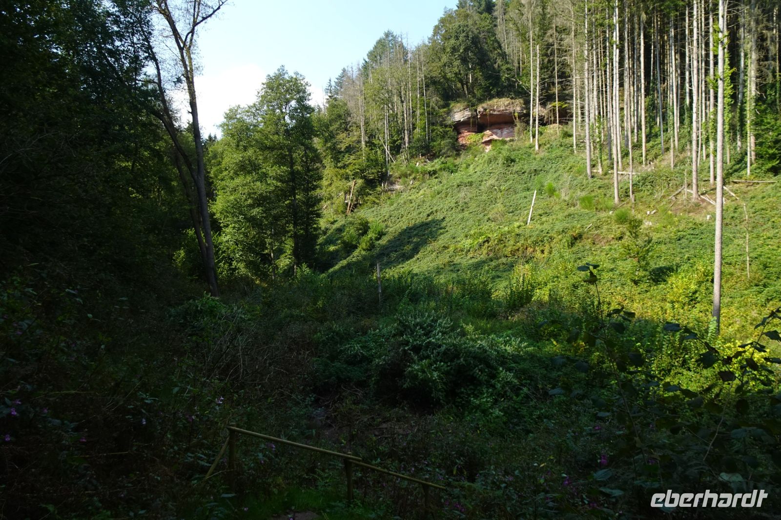 Tag 5 19.09.2024 Wanderung auf dem Römerpfad
