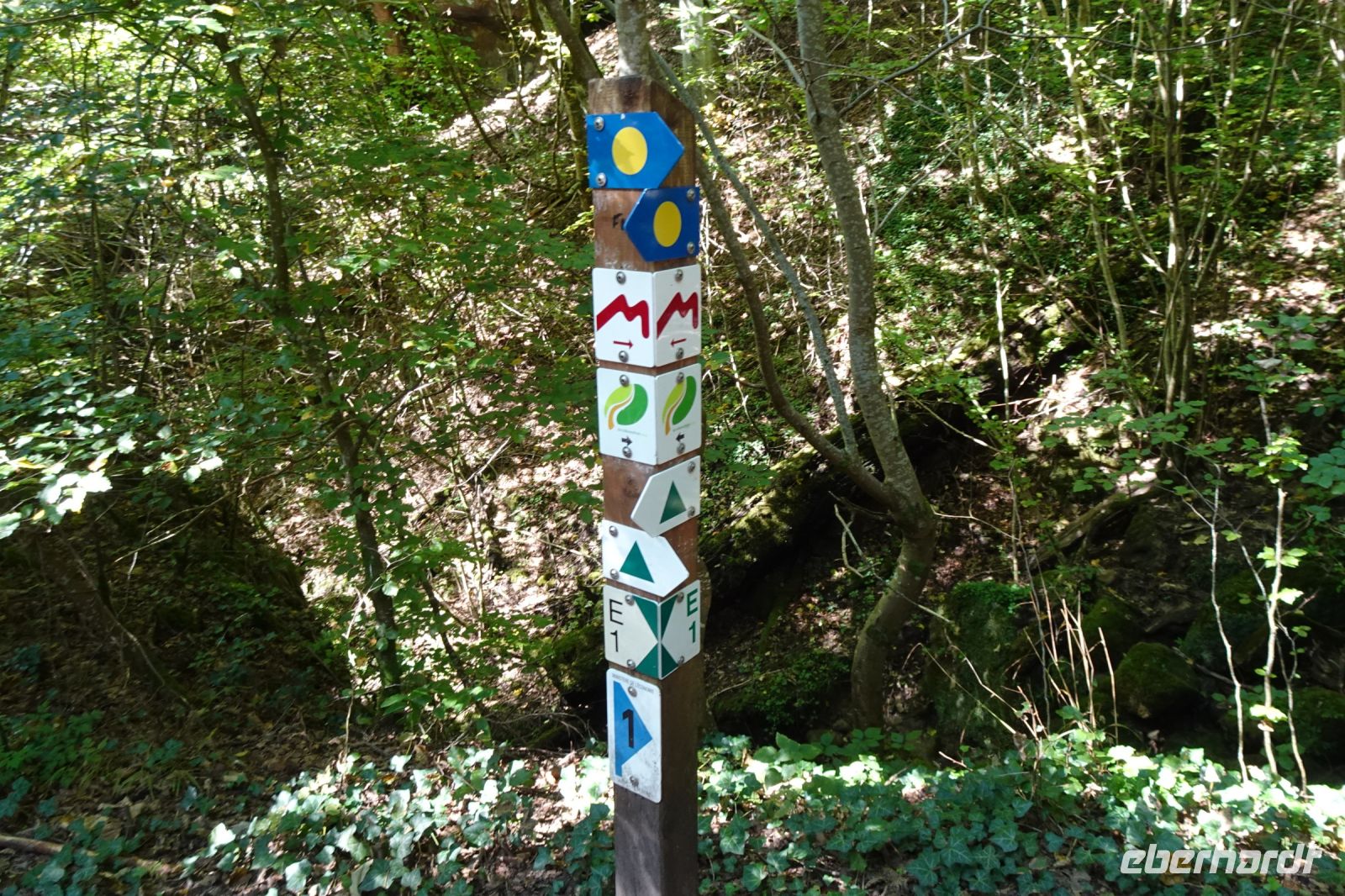 Tag 6 20.09.2024 Wanderung Müllerthal (Lux) 