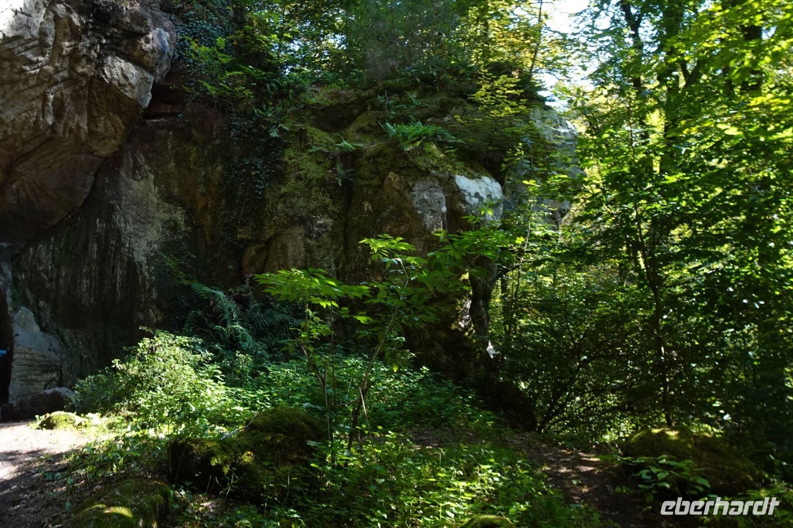 Tag 6 20.09.2024 Wanderung Müllerthal (Lux) 