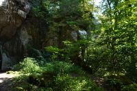 Tag 6 20.09.2024 Wanderung Müllerthal (Lux) 