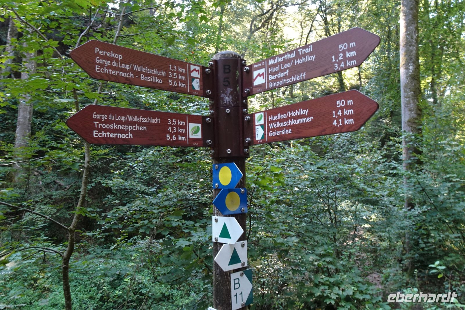 Tag 6 20.09.2024 Wanderung Müllerthal (Lux) 