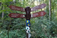 Tag 6 20.09.2024 Wanderung Müllerthal (Lux) 