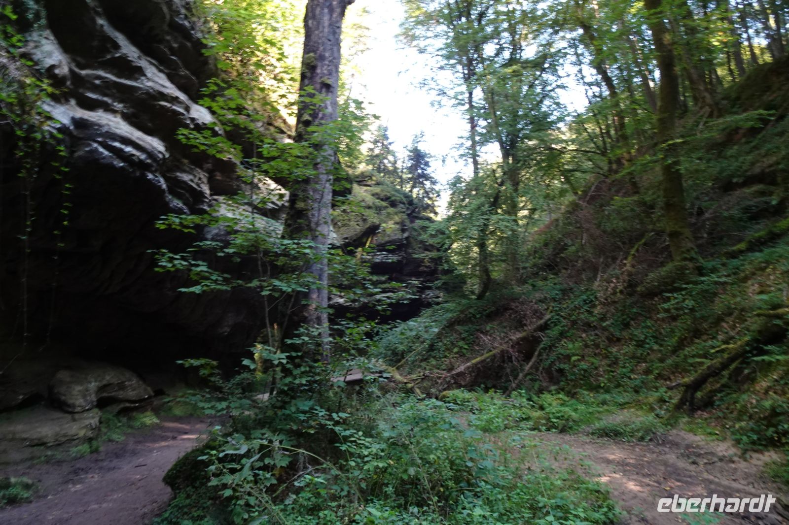 Tag 6 20.09.2024 Wanderung Müllerthal (Lux)