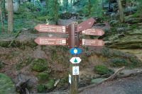 Tag 6 20.09.2024 Wanderung Müllerthal (Lux) 