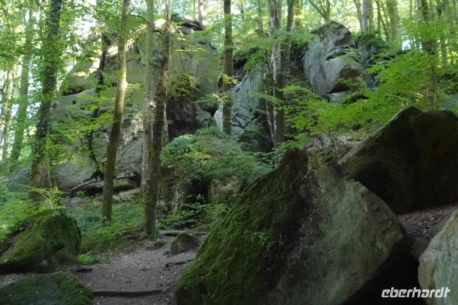 Tag 6 20.09.2024 Wanderung Müllerthal (Lux) 