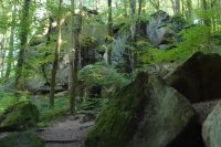 Tag 6 20.09.2024 Wanderung Müllerthal (Lux) 