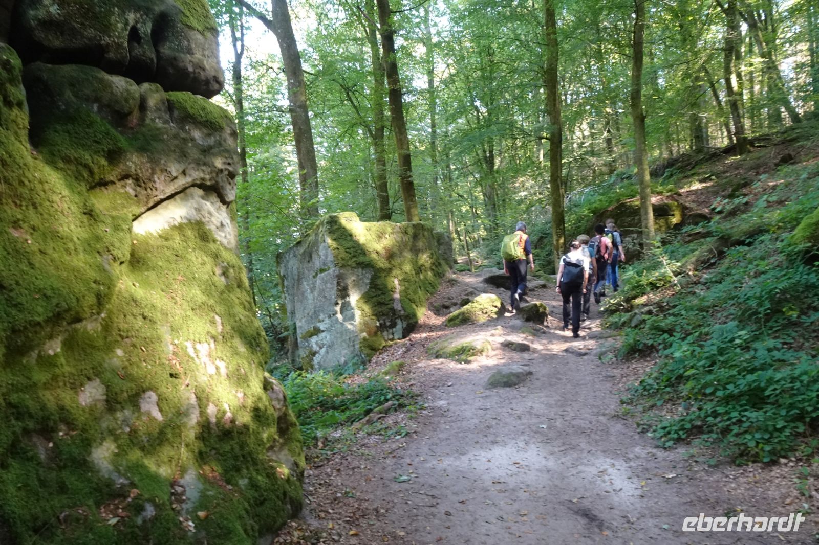 Tag 6 20.09.2024 Wanderung Müllerthal (Lux) 