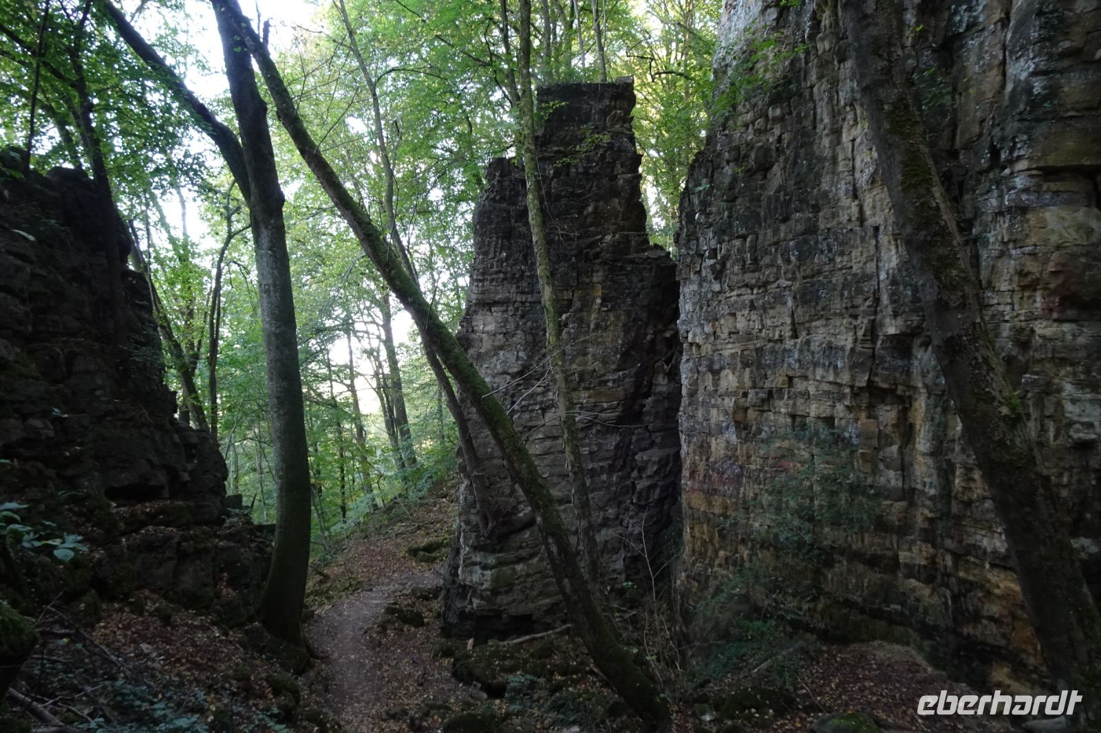 Tag 6 20.09.2024 Wanderung Müllerthal (Lux) 