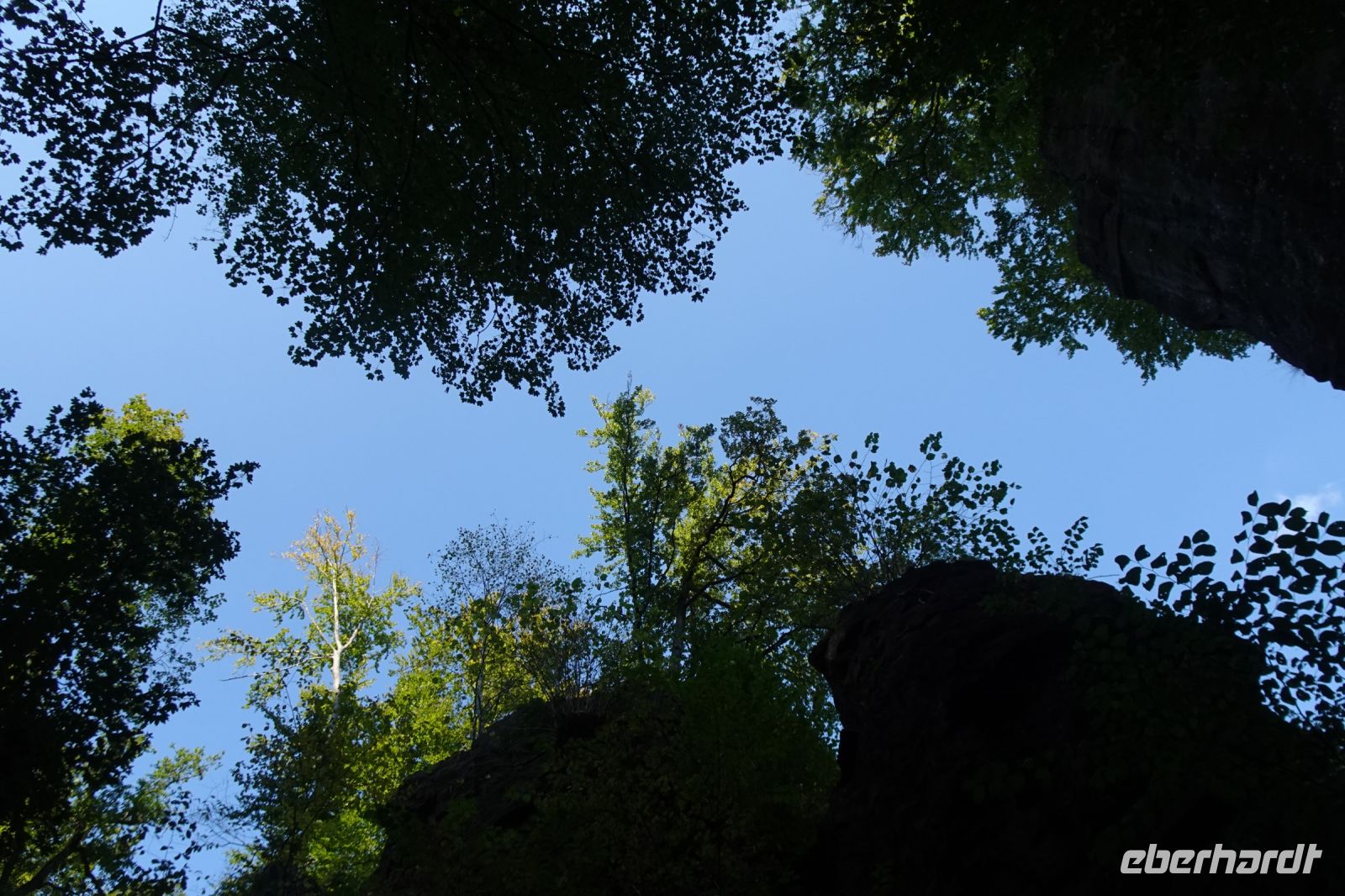Tag 6 20.09.2024 Wanderung Müllerthal (Lux) 