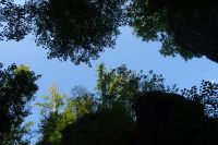 Tag 6 20.09.2024 Wanderung Müllerthal (Lux) 