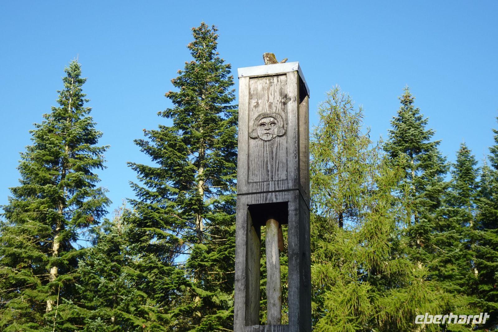 Tag 7 Wanderung auf dem Premiumwanderweg Dollbergschleife   