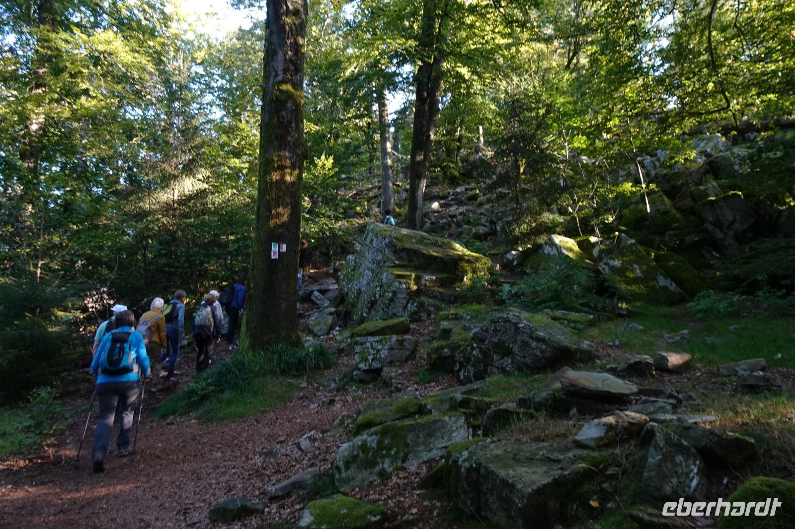 Tag 7 Wanderung auf dem Premiumwanderweg Dollbergschleife   