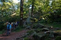 Tag 7 Wanderung auf dem Premiumwanderweg Dollbergschleife   