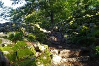 Tag 7 Wanderung auf dem Premiumwanderweg Dollbergschleife   