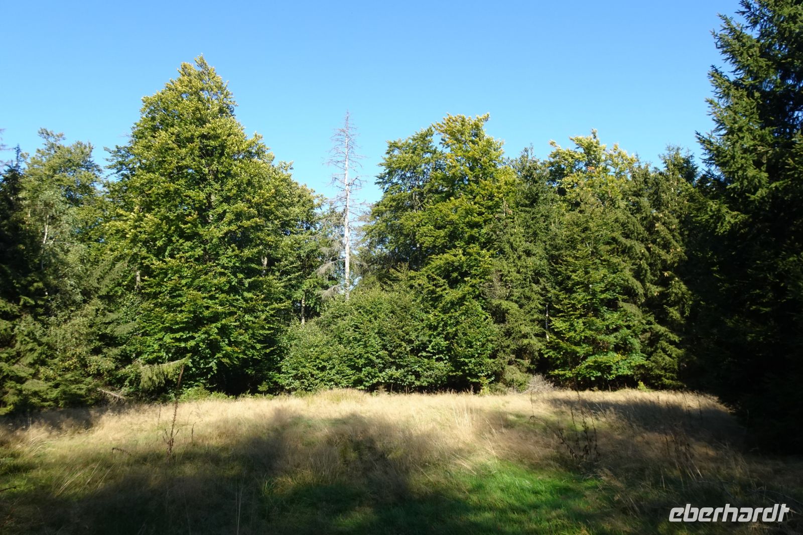 Tag 7 Wanderung auf dem Premiumwanderweg Dollbergschleife   
