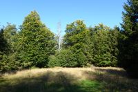 Tag 7 Wanderung auf dem Premiumwanderweg Dollbergschleife   