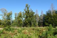 Tag 7 Wanderung auf dem Premiumwanderweg Dollbergschleife   