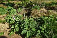 Tag 7 Wanderung auf dem Premiumwanderweg Dollbergschleife   