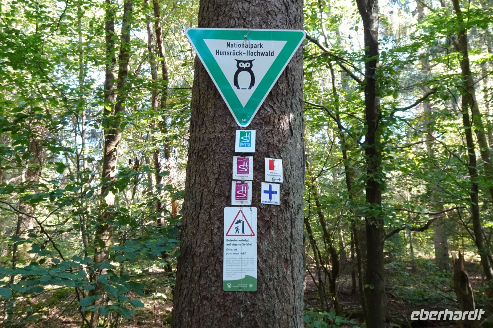 Tag 7 Wanderung auf dem Premiumwanderweg Dollbergschleife   