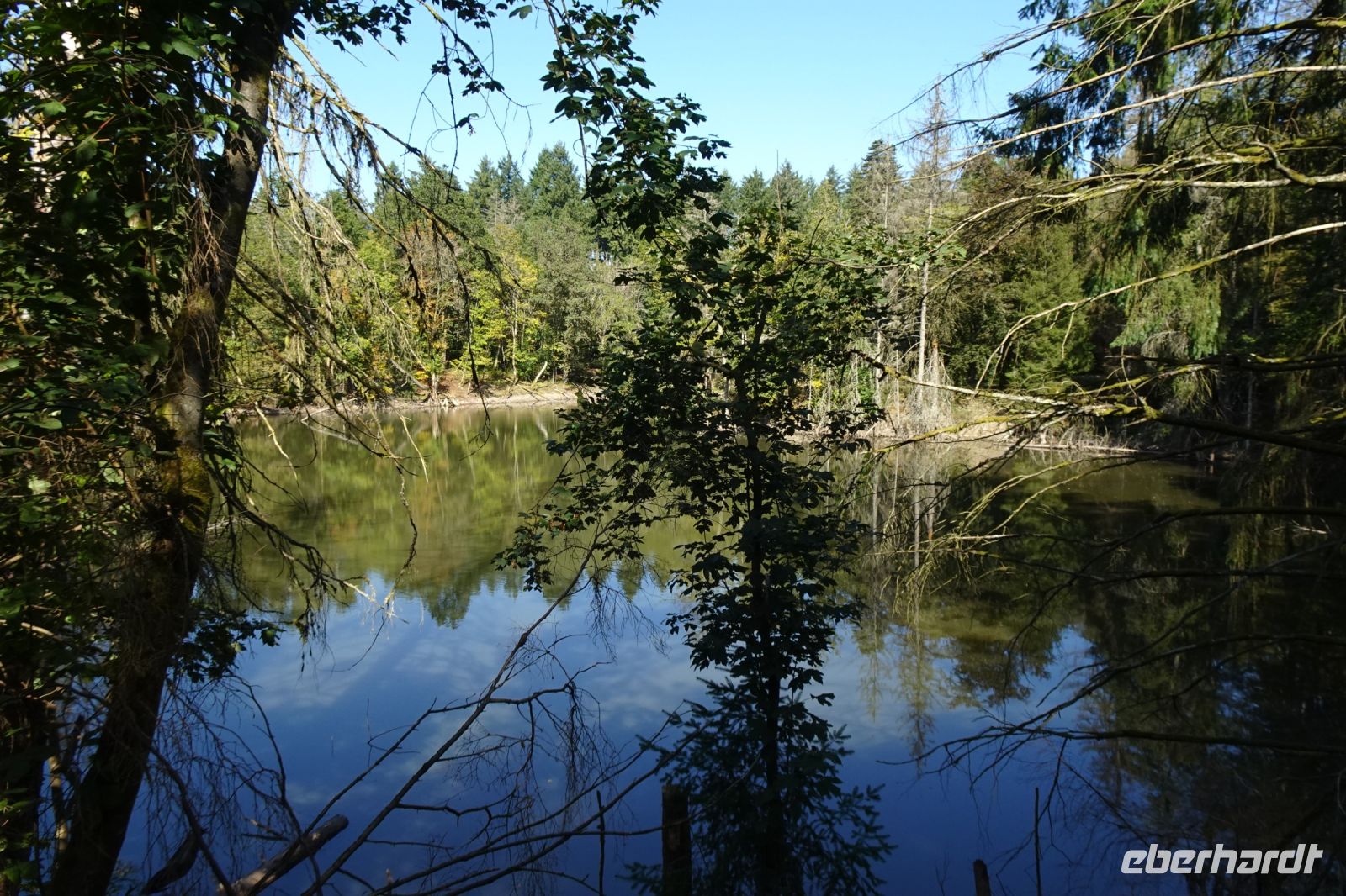 Tag 7 Wanderung auf dem Premiumwanderweg Dollbergschleife   