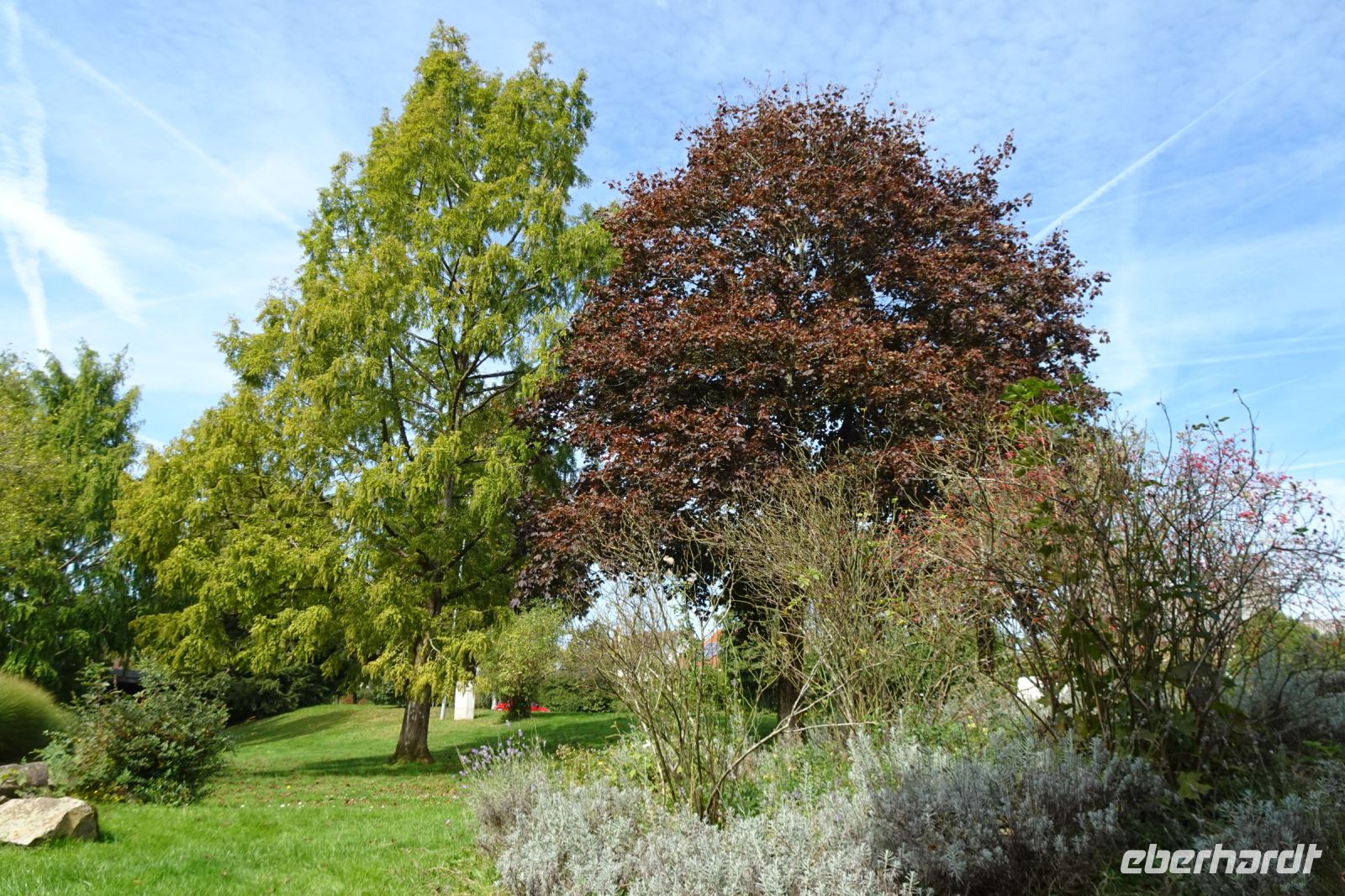 Tag 8 22.09.2024 Heimreise, Herbststimmung im Kurpark