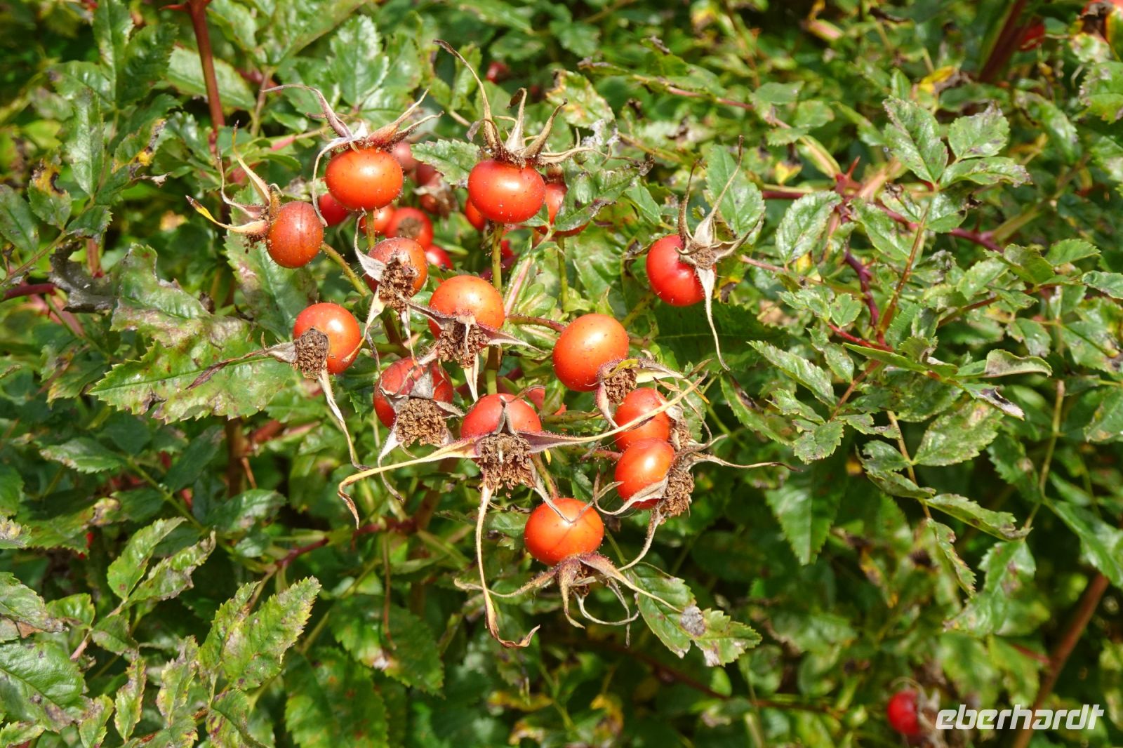 Tag 8 22.09.2024 Herbstanfang