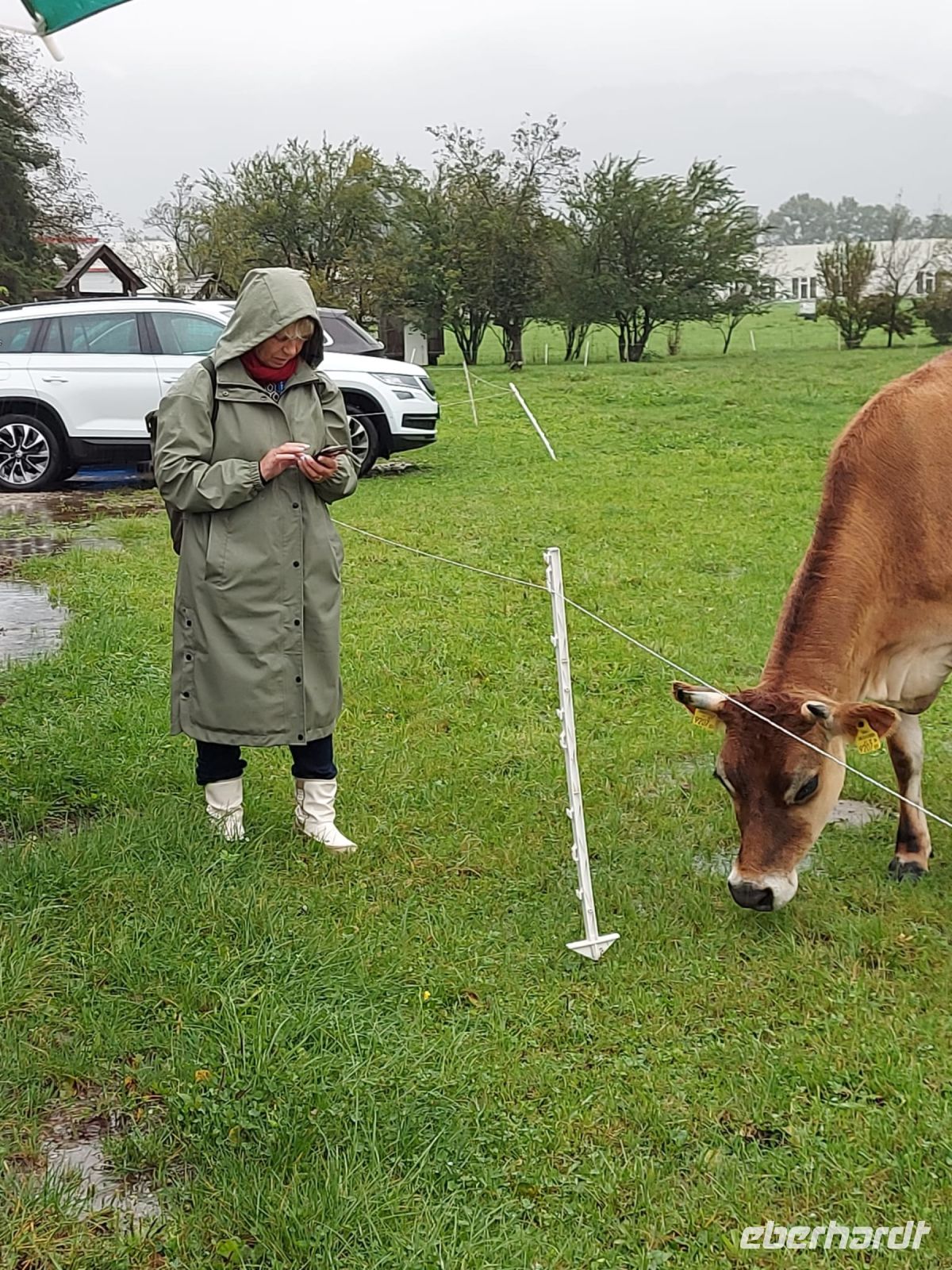 Rundreise Berchtesgadener Land -  Bio Hofkäserei Fürstenhof