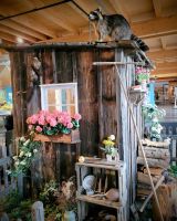 0507 Feeldberg Haus der Natur